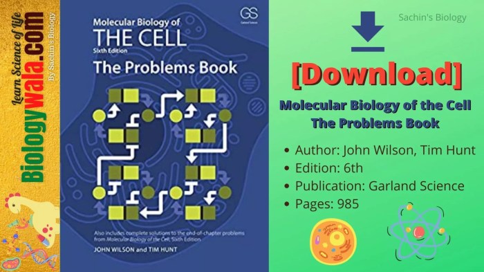 Essential cell biology 6th edition