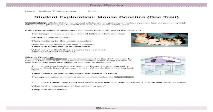 Mouse genetics gizmo answer key pdf