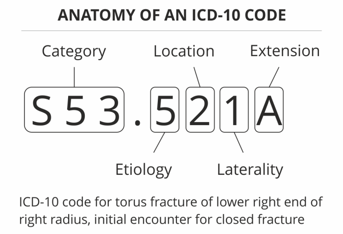 Assignment 1.1 icd coding 1