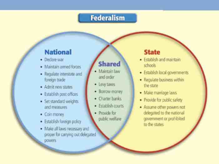 Icivics the federal in federalism