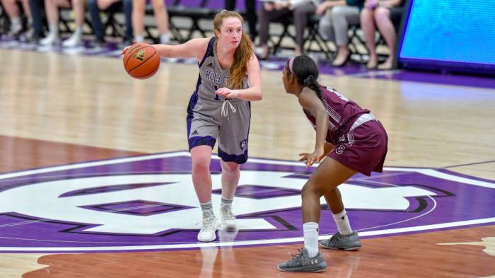 Holy cross coach basketball women head team chastain ann ap mary