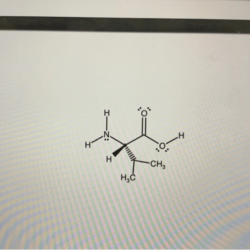 Valine solved transcribed