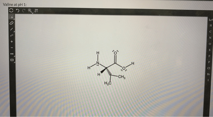 Valine solved transcribed