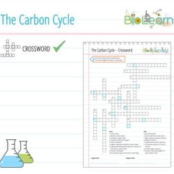 The carbon cycle crossword puzzle answer key