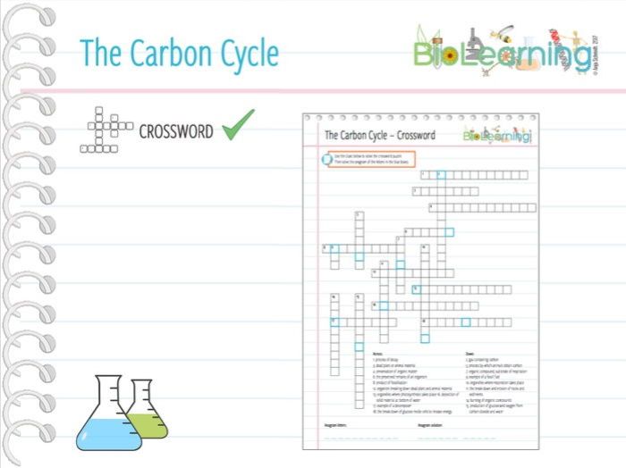 The carbon cycle crossword puzzle answer key