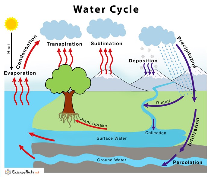 The water cycle review of terms and concepts worksheet