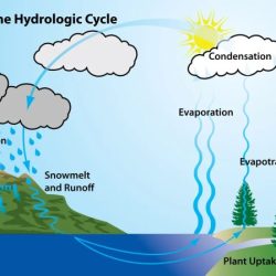 The water cycle review of terms and concepts worksheet