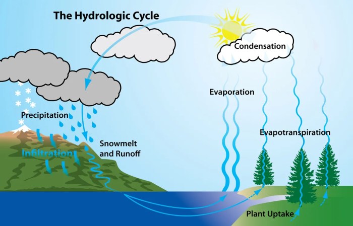 The water cycle review of terms and concepts worksheet